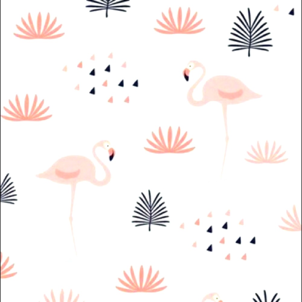 🦩BOGO Summer Clearance🍍